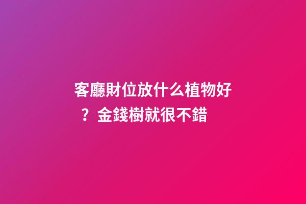 客廳財位放什么植物好？金錢樹就很不錯
